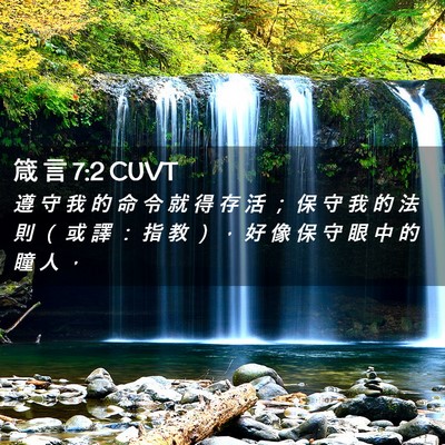 Picture 02 - 箴 言 7:2 CUVT - 遵 守 我 的 命 令 就 得 存 活 ； 保 - Bible Verse Picture