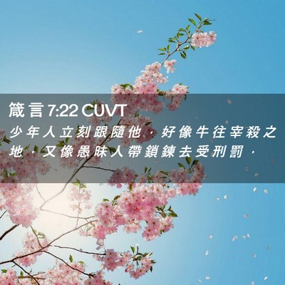 Picture 02 - 箴 言 7:22 CUVT - 少 年 人 立 刻 跟 隨 他 ， 好 像 牛 - Bible Verse Picture