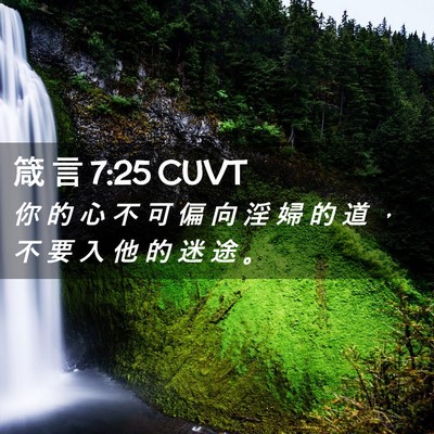 Picture 02 - 箴 言 7:25 CUVT - 你 的 心 不 可 偏 向 淫 婦 的 道 ， - Bible Verse Picture