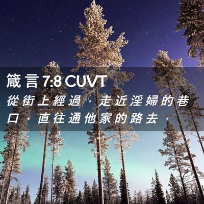 Picture 02 - 箴 言 7:8 CUVT - 從 街 上 經 過 ， 走 近 淫 婦 的 巷 - Bible Verse Picture