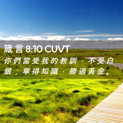 Picture 02 - 箴 言 8:10 CUVT - 你 們 當 受 我 的 教 訓 ， 不 受 白 - Bible Verse Picture