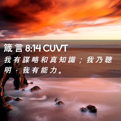 Picture 02 - 箴 言 8:14 CUVT - 我 有 謀 略 和 真 知 識 ； 我 乃 聰 - Bible Verse Picture