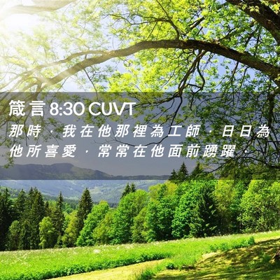 Picture 02 - 箴 言 8:30 CUVT - 那 時 ， 我 在 他 那 裡 為 工 師 ， - Bible Verse Picture