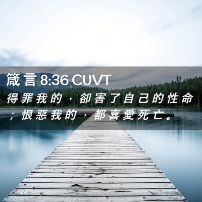 Picture 02 - 箴 言 8:36 CUVT - 得 罪 我 的 ， 卻 害 了 自 己 的 性 - Bible Verse Picture