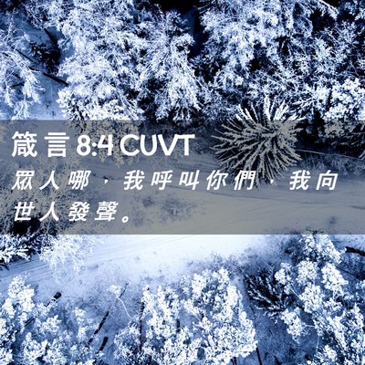 Picture 02 - 箴 言 8:4 CUVT - 眾 人 哪 ， 我 呼 叫 你 們 ， 我 向 - Bible Verse Picture