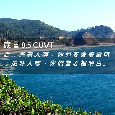 Picture 02 - 箴 言 8:5 CUVT - 說 ： 愚 蒙 人 哪 ， 你 們 要 會 悟 - Bible Verse Picture