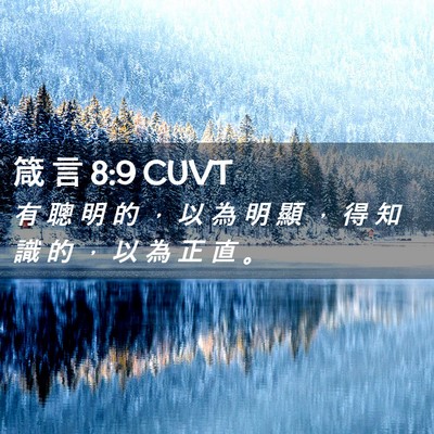 Picture 02 - 箴 言 8:9 CUVT - 有 聰 明 的 ， 以 為 明 顯 ， 得 知 - Bible Verse Picture