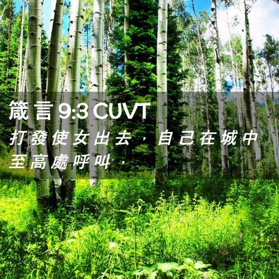 Picture 02 - 箴 言 9:3 CUVT - 打 發 使 女 出 去 ， 自 己 在 城 中 - Bible Verse Picture
