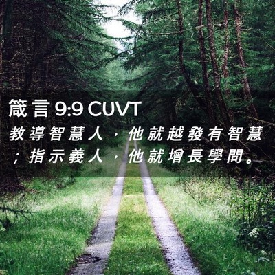 Picture 02 - 箴 言 9:9 CUVT - 教 導 智 慧 人 ， 他 就 越 發 有 智 - Bible Verse Picture