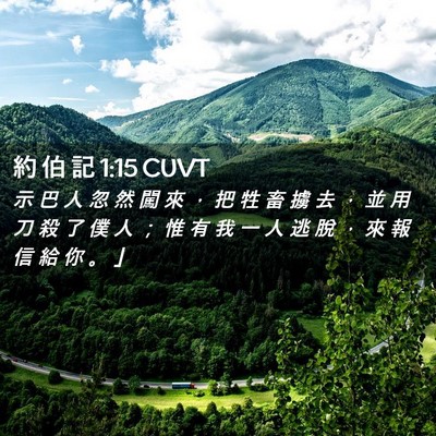 Picture 02 - 約 伯 記 1:15 CUVT - 示 巴 人 忽 然 闖 來 ， 把 牲 畜 擄 - Bible Verse Picture