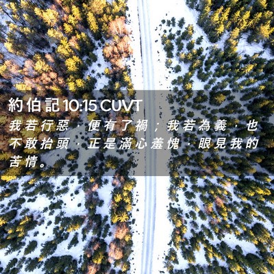 Picture 02 - 約 伯 記 10:15 CUVT - 我 若 行 惡 ， 便 有 了 禍 ； 我 若 - Bible Verse Picture