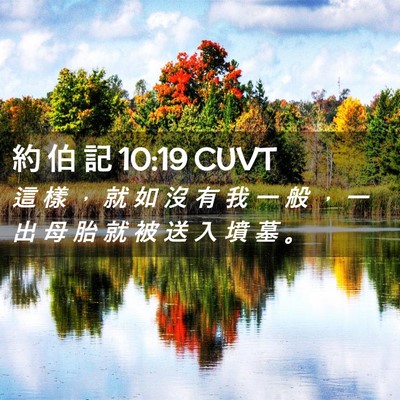 Picture 02 - 約 伯 記 10:19 CUVT - 這 樣 ， 就 如 沒 有 我 一 般 ， 一 - Bible Verse Picture