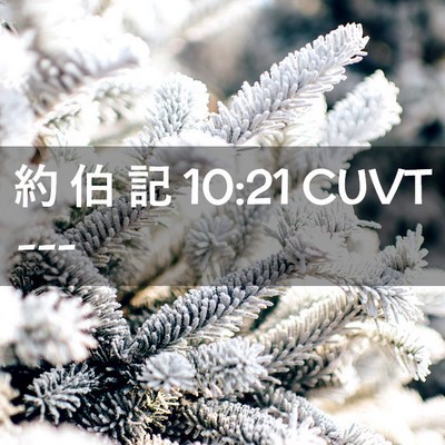 Picture 02 - 約 伯 記 10:21 CUVT -  - Bible Verse Picture
