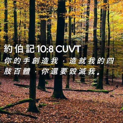 Picture 02 - 約 伯 記 10:8 CUVT - 你 的 手 創 造 我 ， 造 就 我 的 四 - Bible Verse Picture