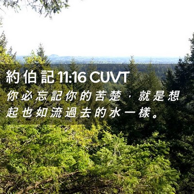 Picture 02 - 約 伯 記 11:16 CUVT - 你 必 忘 記 你 的 苦 楚 ， 就 是 想 - Bible Verse Picture