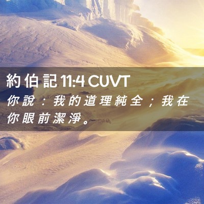 Picture 02 - 約 伯 記 11:4 CUVT - 你 說 ： 我 的 道 理 純 全 ； 我 在 - Bible Verse Picture