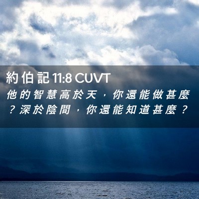 Picture 02 - 約 伯 記 11:8 CUVT - 他 的 智 慧 高 於 天 ， 你 還 能 做 - Bible Verse Picture