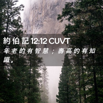 Picture 02 - 約 伯 記 12:12 CUVT - 年 老 的 有 智 慧 ； 壽 高 的 有 知 - Bible Verse Picture