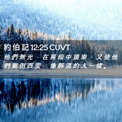 Picture 02 - 約 伯 記 12:25 CUVT - 他 們 無 光 ， 在 黑 暗 中 摸 索 ， - Bible Verse Picture