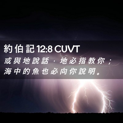 Picture 02 - 約 伯 記 12:8 CUVT - 或 與 地 說 話 ， 地 必 指 教 你 ； - Bible Verse Picture
