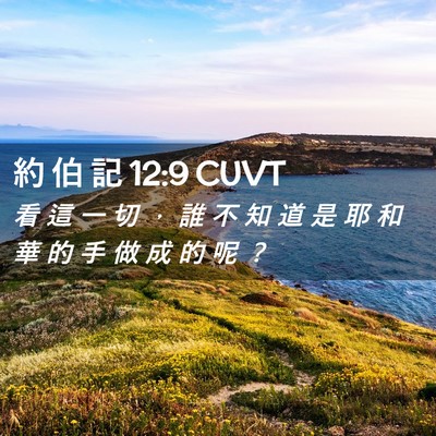 Picture 02 - 約 伯 記 12:9 CUVT - 看 這 一 切 ， 誰 不 知 道 是 耶 和 - Bible Verse Picture