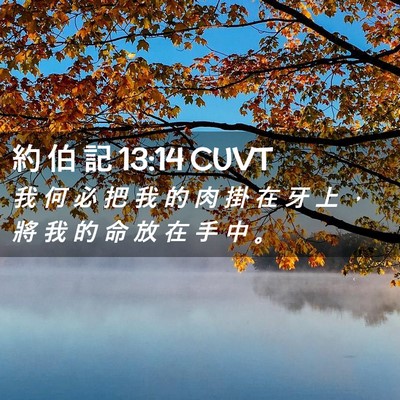 Picture 02 - 約 伯 記 13:14 CUVT - 我 何 必 把 我 的 肉 掛 在 牙 上 ， - Bible Verse Picture