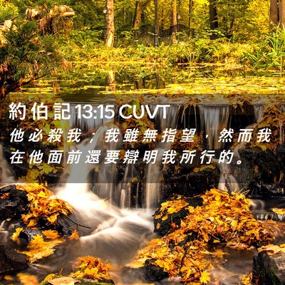 Picture 02 - 約 伯 記 13:15 CUVT - 他 必 殺 我 ； 我 雖 無 指 望 ， 然 - Bible Verse Picture
