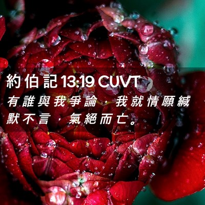 Picture 02 - 約 伯 記 13:19 CUVT - 有 誰 與 我 爭 論 ， 我 就 情 願 緘 - Bible Verse Picture