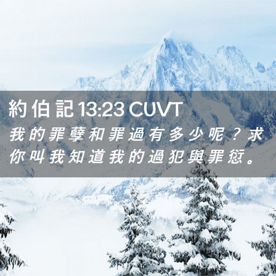 Picture 02 - 約 伯 記 13:23 CUVT - 我 的 罪 孽 和 罪 過 有 多 少 呢 ？ - Bible Verse Picture