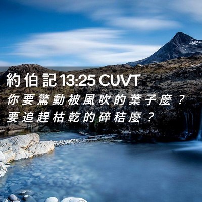 Picture 02 - 約 伯 記 13:25 CUVT - 你 要 驚 動 被 風 吹 的 葉 子 麼 ？ - Bible Verse Picture