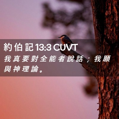 Picture 02 - 約 伯 記 13:3 CUVT - 我 真 要 對 全 能 者 說 話 ； 我 願 - Bible Verse Picture