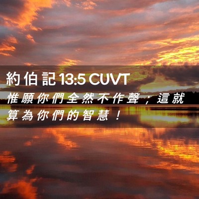 Picture 02 - 約 伯 記 13:5 CUVT - 惟 願 你 們 全 然 不 作 聲 ； 這 就 - Bible Verse Picture