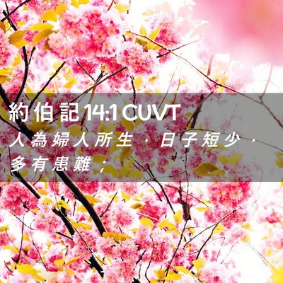 Picture 02 - 約 伯 記 14:1 CUVT - 人 為 婦 人 所 生 ， 日 子 短 少 ， - Bible Verse Picture