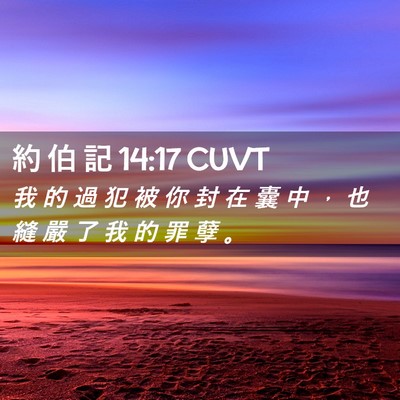 Picture 02 - 約 伯 記 14:17 CUVT - 我 的 過 犯 被 你 封 在 囊 中 ， 也 - Bible Verse Picture