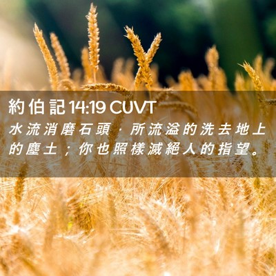Picture 02 - 約 伯 記 14:19 CUVT - 水 流 消 磨 石 頭 ， 所 流 溢 的 洗 - Bible Verse Picture