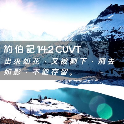 Picture 02 - 約 伯 記 14:2 CUVT - 出 來 如 花 ， 又 被 割 下 ， 飛 去 - Bible Verse Picture