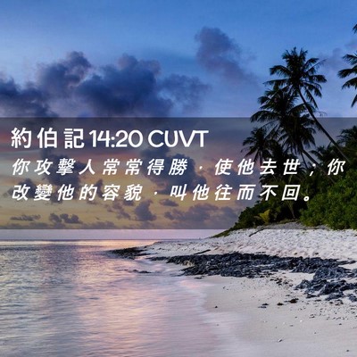 Picture 02 - 約 伯 記 14:20 CUVT - 你 攻 擊 人 常 常 得 勝 ， 使 他 去 - Bible Verse Picture