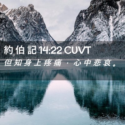 Picture 02 - 約 伯 記 14:22 CUVT - 但 知 身 上 疼 痛 ， 心 中 悲 哀 - Bible Verse Picture