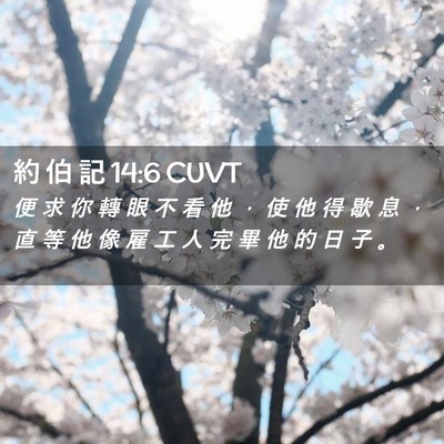 Picture 02 - 約 伯 記 14:6 CUVT - 便 求 你 轉 眼 不 看 他 ， 使 他 得 - Bible Verse Picture