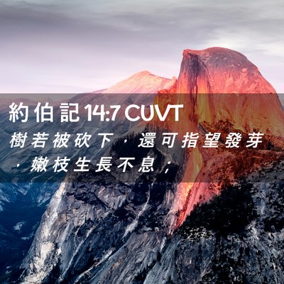 Picture 02 - 約 伯 記 14:7 CUVT - 樹 若 被 砍 下 ， 還 可 指 望 發 芽 - Bible Verse Picture