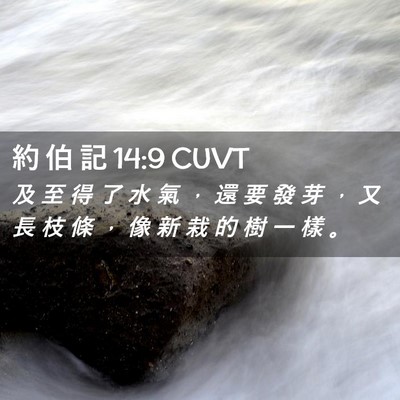 Picture 02 - 約 伯 記 14:9 CUVT - 及 至 得 了 水 氣 ， 還 要 發 芽 ， - Bible Verse Picture