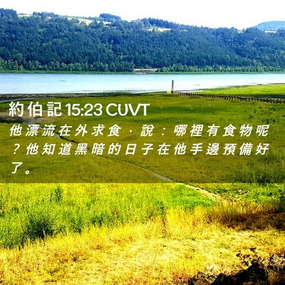 Picture 02 - 約 伯 記 15:23 CUVT - 他 漂 流 在 外 求 食 ， 說 ： 哪 裡 - Bible Verse Picture