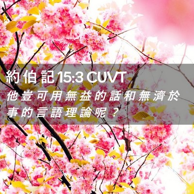 Picture 02 - 約 伯 記 15:3 CUVT - 他 豈 可 用 無 益 的 話 和 無 濟 於 - Bible Verse Picture