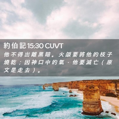 Picture 02 - 約 伯 記 15:30 CUVT - 他 不 得 出 離 黑 暗 。 火 燄 要 將 - Bible Verse Picture