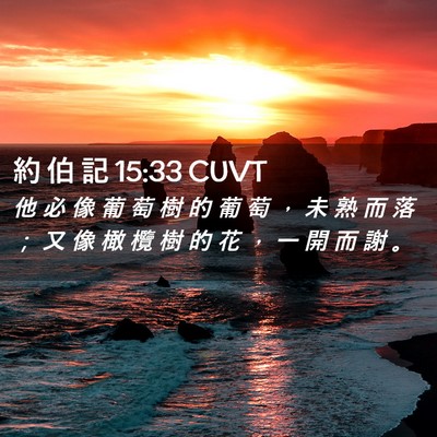 Picture 02 - 約 伯 記 15:33 CUVT - 他 必 像 葡 萄 樹 的 葡 萄 ， 未 熟 - Bible Verse Picture