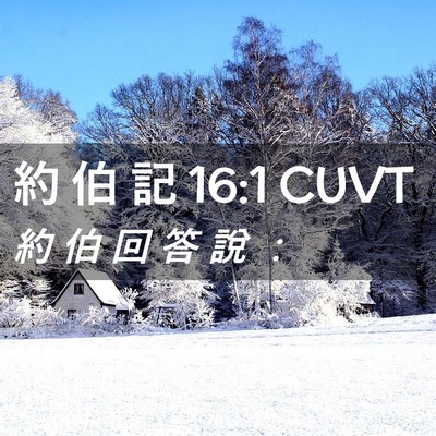 Picture 02 - 約 伯 記 16:1 CUVT - 約 伯 回 答 說 - Bible Verse Picture