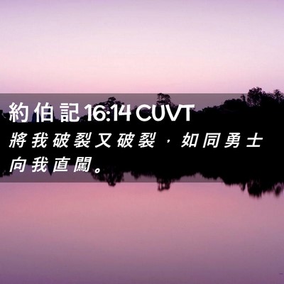 Picture 02 - 約 伯 記 16:14 CUVT - 將 我 破 裂 又 破 裂 ， 如 同 勇 士 - Bible Verse Picture