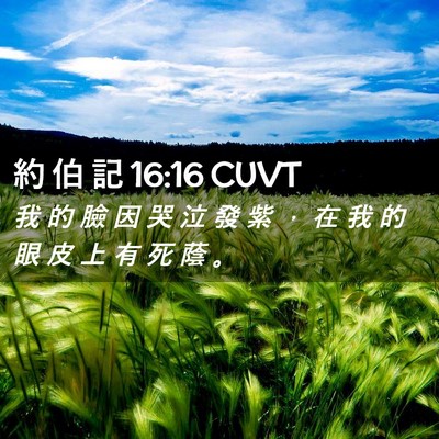 Picture 02 - 約 伯 記 16:16 CUVT - 我 的 臉 因 哭 泣 發 紫 ， 在 我 的 - Bible Verse Picture