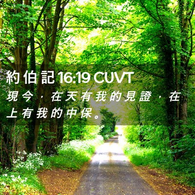Picture 02 - 約 伯 記 16:19 CUVT - 現 今 ， 在 天 有 我 的 見 證 ， 在 - Bible Verse Picture