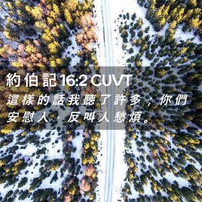 Picture 02 - 約 伯 記 16:2 CUVT - 這 樣 的 話 我 聽 了 許 多 ； 你 們 - Bible Verse Picture